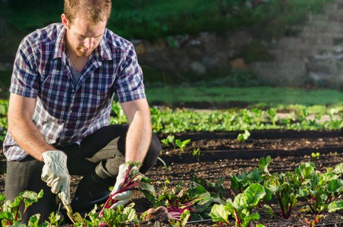 Gardener Haringey team inspecting a terrace garden for pricing