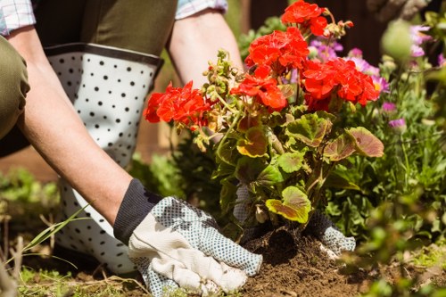 Selection of native plants for Haringey landscapes