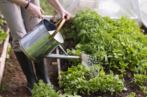 Final inspection of a landscaped area by a gardener