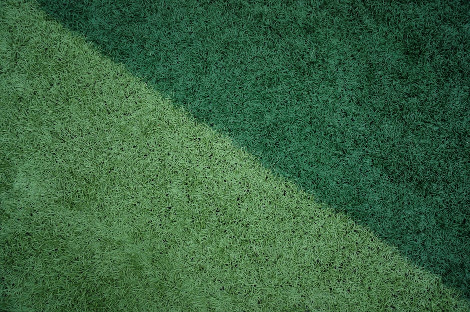 A close-up view of a red and black petrol-powered lawn mower positioned on a lush, evenly cut green lawn. The mower features large textured rear wheels and smaller front wheels, with a black grass col